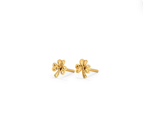 Gold stud ear rings